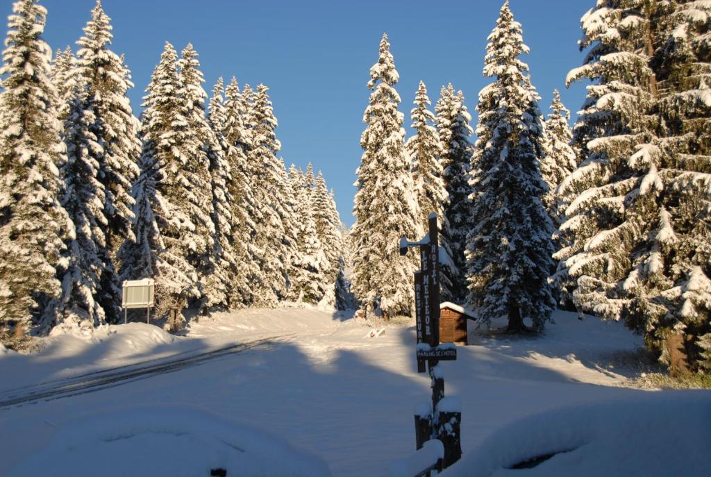 Hotel Chalet Le Caribou Les Saisies Exterior photo