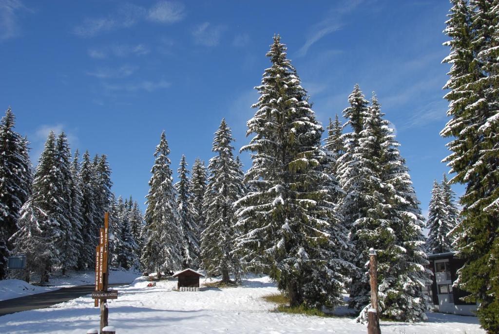 Hotel Chalet Le Caribou Les Saisies Exterior photo